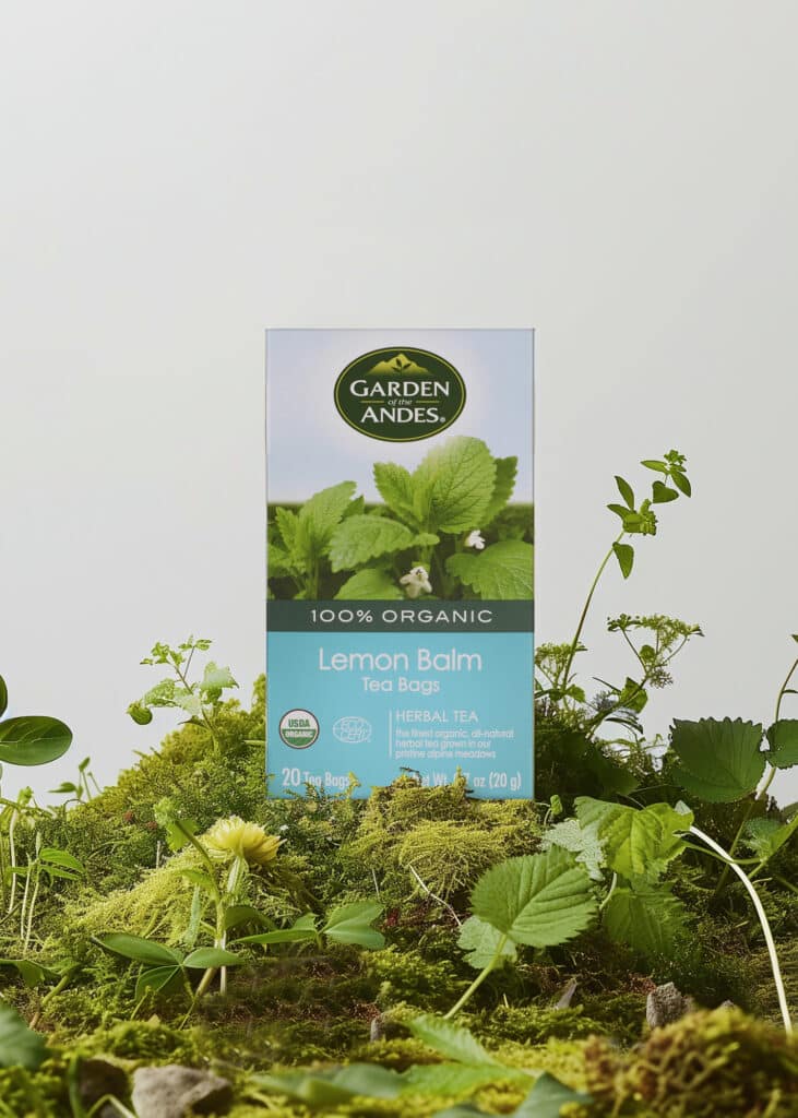 LEMON BALM_57