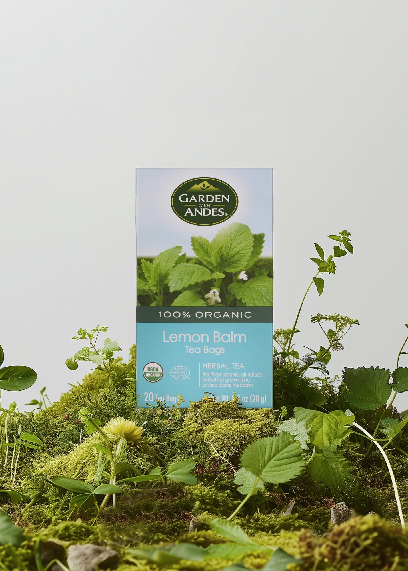 LEMON BALM_57
