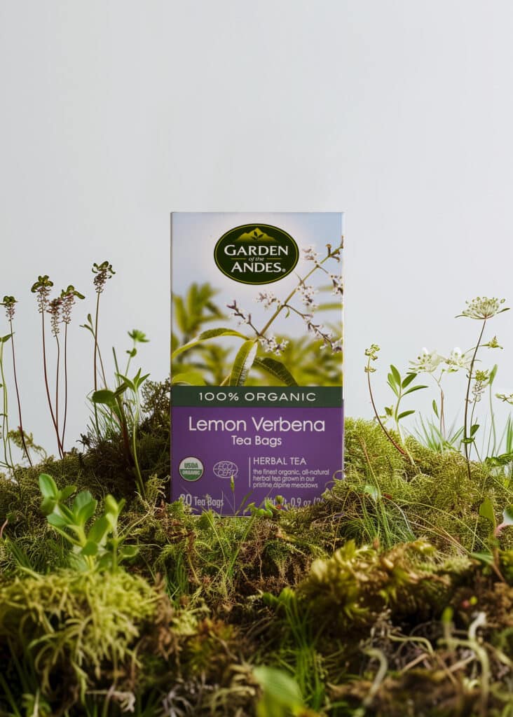 VERBENA_57