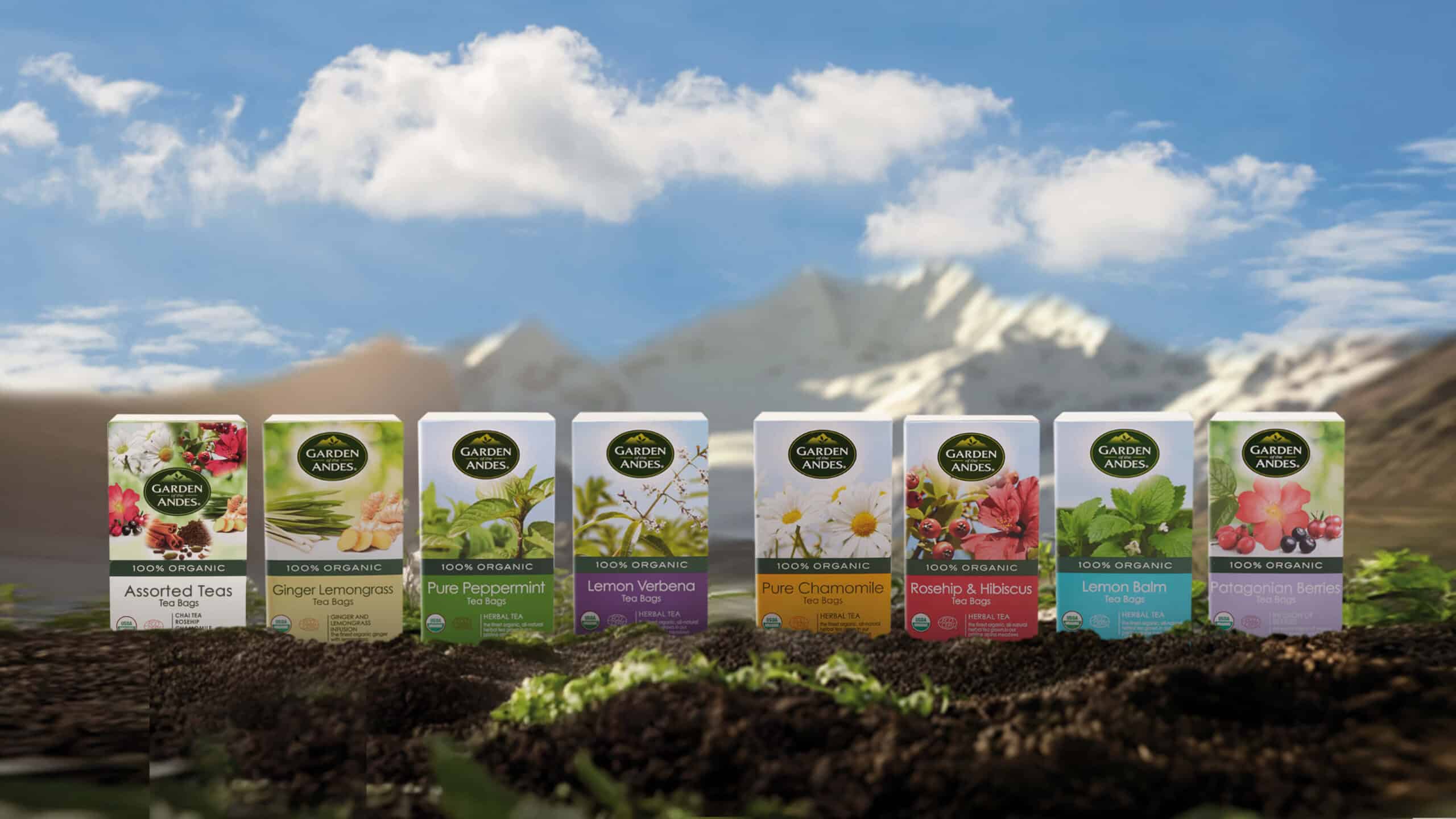 esquema-banner_herbal_tea_2 (1)