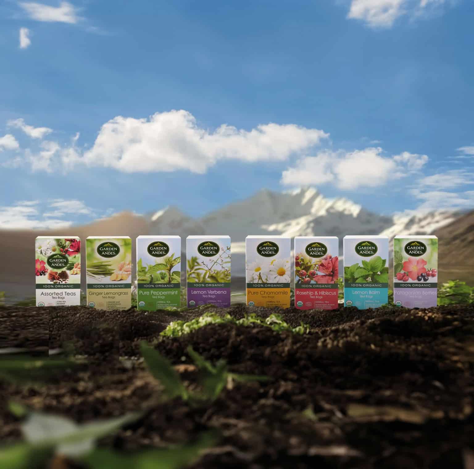 esquema-banner_herbal_tea_2-1-scaled-1